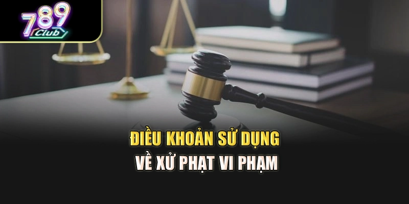Điều khoản sử dụng về xử phạt vi phạm